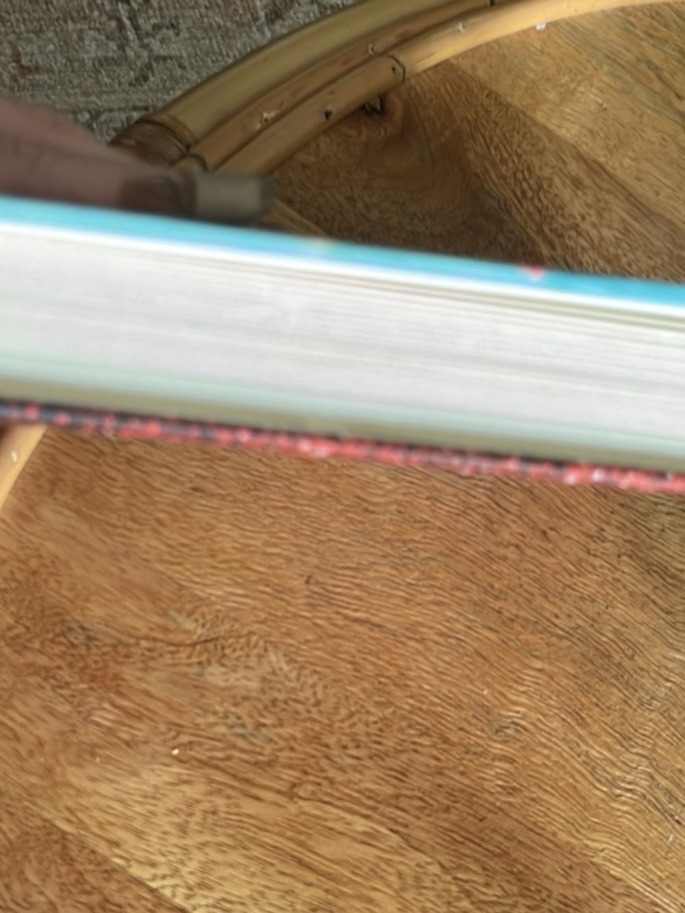 Rebel Rising Memoir - Picture 3 of 5